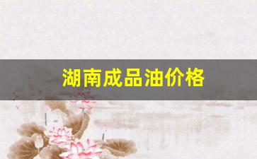 湖南成品油价格-2021湖南油价