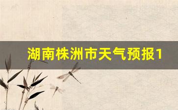 湖南株洲市天气预报15天查询最新消息_湖南株洲市天气预报15天
