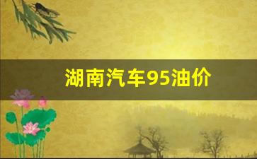 湖南95油价最新消息 今日_湖南汽车95油价