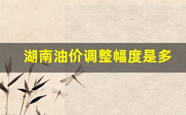 湖南油价今日价格表-湖南油价调整幅度是多少