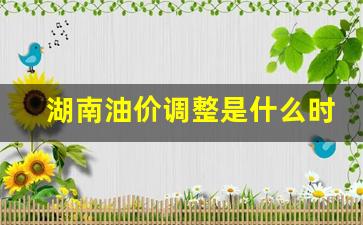 2021年湖南油价-湖南油价调整是什么时候