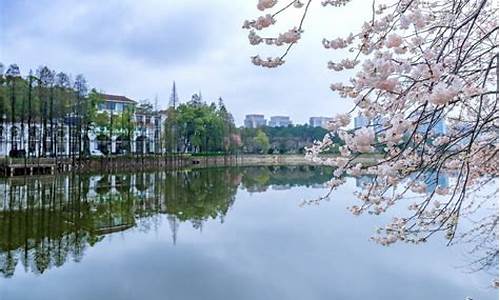 湖南省植物园需要门票吗_湖南省植物园