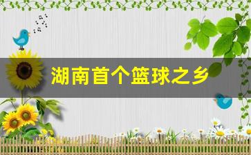 湖南首个篮球之乡-湖南首个篮球之乡在哪里