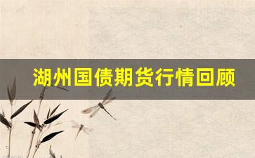 湖州国债期货行情回顾(湖州城投发债)_https://www.erdeww.com_期货资讯_第1张