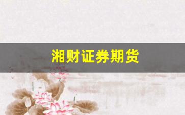 湘财证券期货(湘财证券期货官网)_https://www.fzdzcxj.com_北交所_第1张