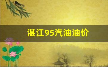 湛江95汽油油价-湛江95汽油油价多少