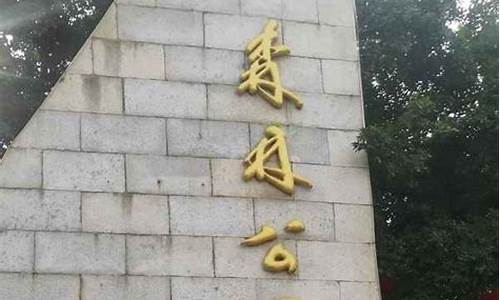 湛江森林公园怎么去_湛江森林公园公交车路线