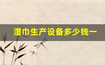 湿巾生产设备多少钱一台(纸杯机器多少钱一台)_https://www.hhem8.com_北交所_第1张