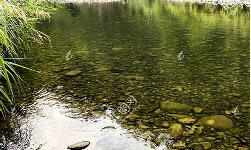 溪水清澈指的是什么生肖_溪水清澈透底