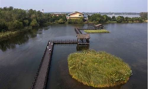 溱湖湿地公园游玩攻略_溱湖湿地