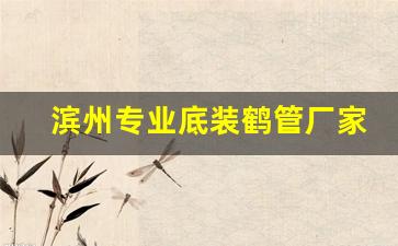 滨州专业底装鹤管厂家(鹤管安装)(1)