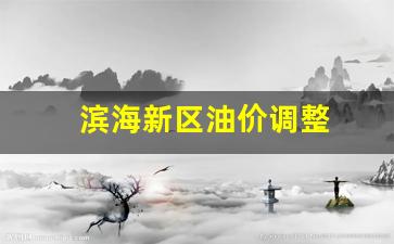 滨海新区油价调整-天津滨海新区油价