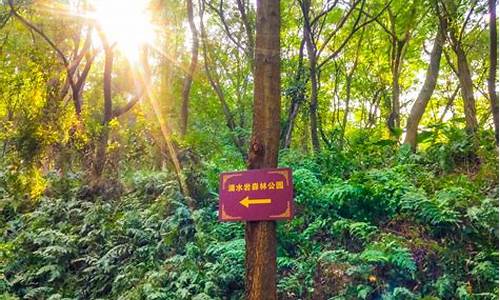 滴水岩森林公园爬山路线_滴水岩森林公园最佳爬山线路