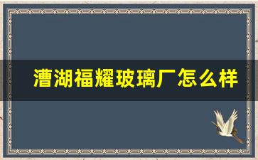 漕湖福耀玻璃厂怎么样(福耀玻璃湖北有限公司详细地址)_https://www.nalian8.com_科创板_第1张