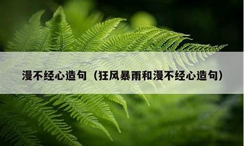 漫不经心造句_漫不经心造句简单