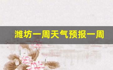 潍坊一周天气预报一周查询结果是什么_潍坊一周内天气