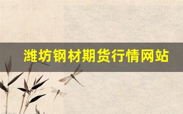 潍坊钢材期货行情网站最新(潍坊钢材价格最新行情走势)_https://www.jyywjc.com_股票_第1张