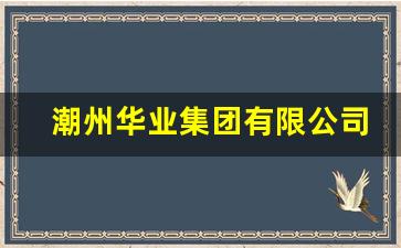 潮州华业集团有限公司(潮州市华业包装材料有限公司)_https://www.hhem8.com_深交所_第1张