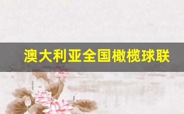 澳大利亚橄榄球联赛2023墨尔本-澳大利