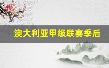 澳大利亚甲级联赛季后赛-澳大利亚甲a级联赛ds