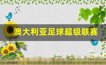 澳大利亚足球超级联赛扩军-澳大利亚国家超级联赛比分