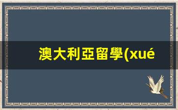 澳大利亞留學(xué)簽證必備，詳解學(xué)生簽證存款證明所需金額及準(zhǔn)備要點(diǎn)