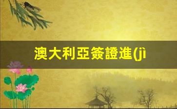 澳大利亞簽證進(jìn)度查詢(xún)無(wú)記錄提示，如何有效追蹤簽證申請(qǐng)狀態(tài)？