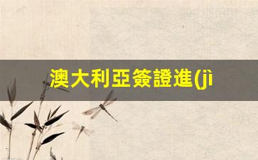 澳大利亞簽證進(jìn)度查詢無記錄提示，如何有效追蹤簽證申請(qǐng)狀態(tài)？
