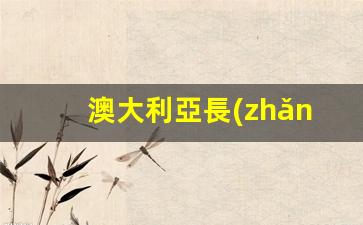 澳大利亞長(zhǎng)期旅游簽證(澳大利亞長(zhǎng)期簽證)