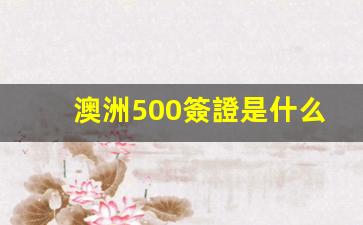 澳洲500簽證是什么簽證(澳洲590簽證可以工作嗎)