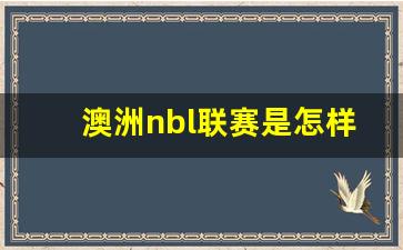 nbl澳洲联赛季后赛规则-澳洲nbl联赛是怎样的联赛