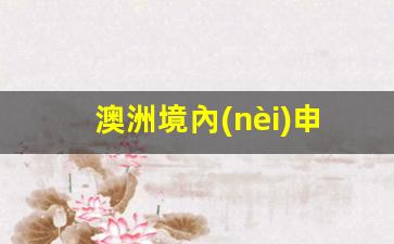 澳洲境內(nèi)免費(fèi)申請旅游簽，揭秘簽證費(fèi)用及免費(fèi)申請攻略