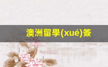 澳洲留學(xué)簽證要多久才能辦下來手續(xù)(澳洲留學(xué)簽證要多久才能辦下來)
