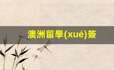 澳洲留學(xué)簽證過期半年怎么辦(澳洲留學(xué)簽證到期)