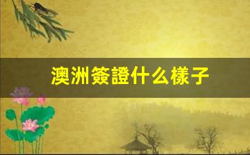 澳洲簽證詳解，申請流程及官方攻略一覽