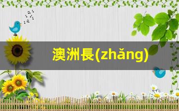 澳洲最新簽證政策解析，詳解長(zhǎng)期簽證與永久簽證申請(qǐng)條件