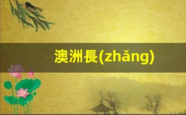 澳洲長(zhǎng)期簽證需要哪些材料(澳洲長(zhǎng)期居留許可什么意思)