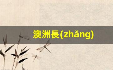 澳洲長(zhǎng)期簽證類型有哪些種類(澳洲長(zhǎng)期簽證類型有哪些種類的)