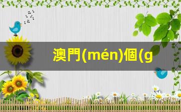 澳門(mén)個(gè)人簽證攻略，旅游簽證申請(qǐng)與團(tuán)隊(duì)旅游個(gè)人過(guò)關(guān)指南
