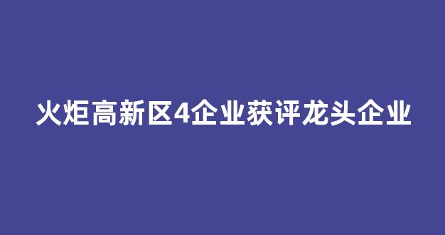 火炬高新区4企业获评龙头企业(火炬开发区企业排名)_https://www.qgjzrcxxzxpt.com_广期所_第1张