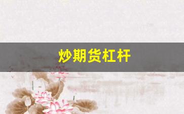 炒期货杠杆(做期货杠杆)_https://www.xzdzcjn.com_创业板_第1张