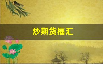 炒期货福汇(福汇期货软件)_https://www.fzdzcxj.com_上交所_第1张