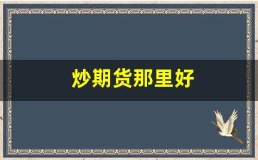 炒期货那里好(做期货哪家好)_https://www.fzdzcxj.com_上交所_第1张