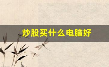 炒股买什么电脑好(炒股买什么电脑最好)_https://www.qldgs.com_期货_第1张