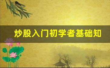 炒股入门初学者基础知识电子书