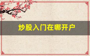 炒股入门在哪开户(炒股从哪开户)_https://www.luoxuangg888.com_深交所_第1张