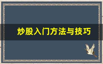 炒股入门方法与技巧(炒股入门方法与技巧pdf)_https://www.senxinmaoyi.com_物流单号_第1张