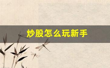 炒股怎么玩新手(炒股怎么玩新手入门与游资交易)_https://www.heiljjianzu.com_科创板_第1张