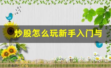 炒股怎么玩新手入门与游资交易_https://www.heiljjianzu.com_创业板_第1张