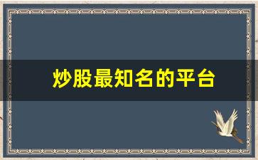 炒股最知名的平台(炒股最知名的平台是哪个)_https://www.shshucaipeisong.com_创业板_第1张